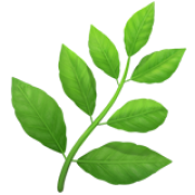 🌿